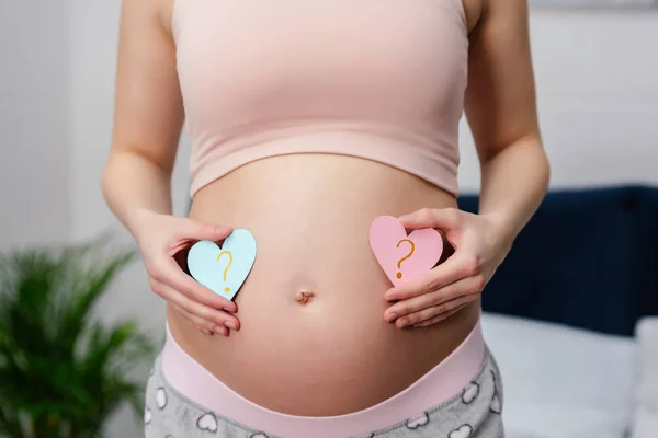 Tiro recortado de mulher grávida segurando corações azuis e rosa com pontos de interrogação — Fotografia de Stock