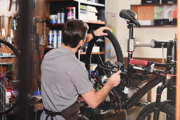 Visão traseira de jovens trabalhadores fixação de bicicleta em oficina — Fotografia de Stock