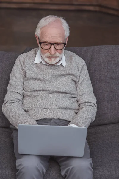 Красивий сірий чоловік сидить на дивані і використовує ноутбук — стокове фото