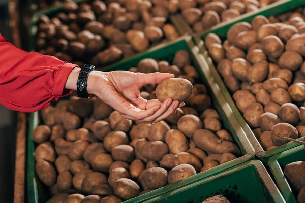 Kartoffeln — Stockfoto