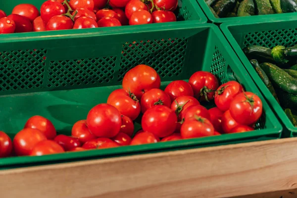 Vista de perto de tomates frescos arranjados na mercearia — Fotografia de Stock