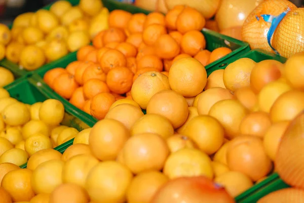 Close up view of arranged citrus fruits in grocery shop — Stock Photo