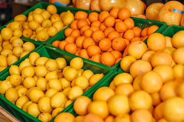 Close up view of arranged citrus fruits in grocery shop — Stock Photo