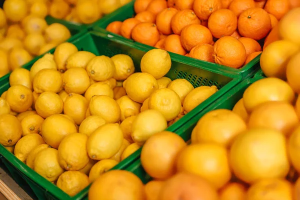 Vue rapprochée des agrumes arrangés dans l'épicerie — Photo de stock