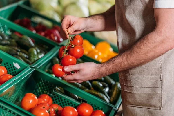 Vista parcial del asistente de tienda que organiza verduras frescas en la tienda de comestibles - foto de stock