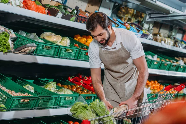 Male shop assistant in apron arranging fresh vegetables in grocery shop — Stock Photo