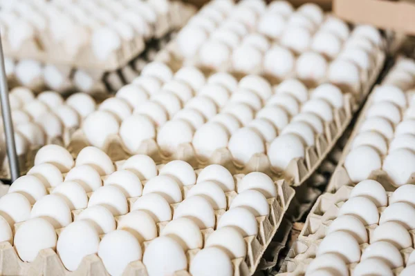 Close up view of raw chicken eggs in egg boxes — Stock Photo