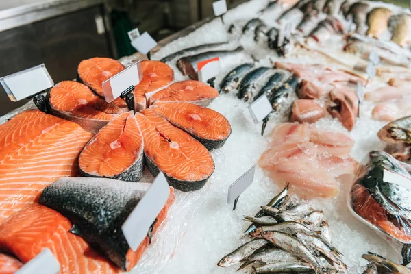 Vista de cerca de pescados y mariscos crudos arreglados en el supermercado - foto de stock