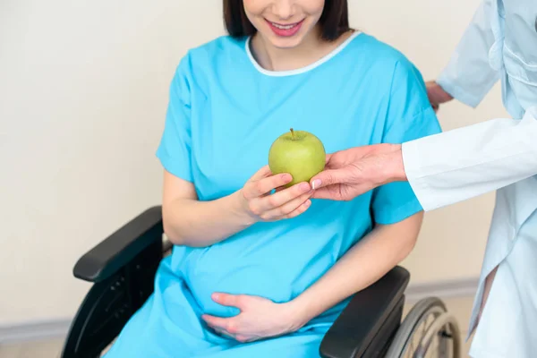 Tiro recortado de ginecólogo obstetra dando manzana verde a la mujer embarazada en silla de ruedas - foto de stock