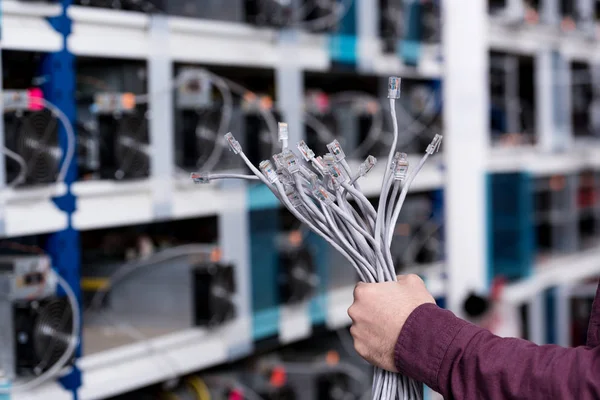 Tiro recortado de engenheiro de computação segurando fios ethernet na fazenda de mineração criptomoeda — Fotografia de Stock