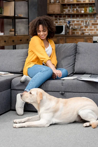 Happy young woman working at home and looking at her dog lying on floor — Stock Photo