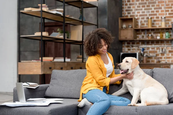 Hermosa joven mujer trabajando en casa y acariciando a su perro - foto de stock