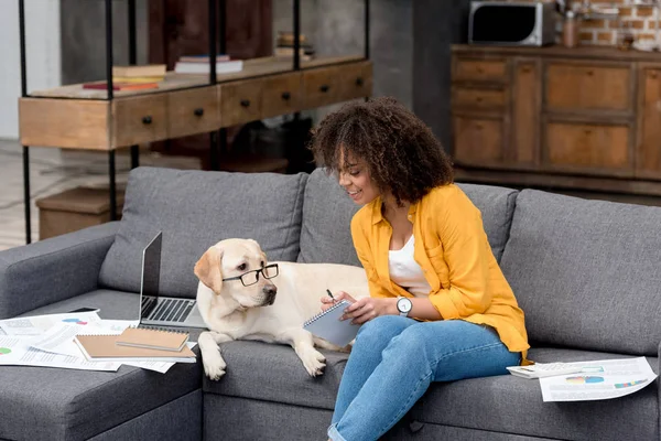 Приваблива молода жінка працює вдома на дивані, а її собака сидить поруч з окулярами — стокове фото