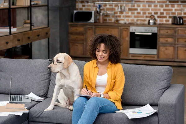 Junge afrikanisch-amerikanische Frau arbeitet zu Hause auf der Couch, während ihr Hund neben ihr mit Brille sitzt — Stockfoto