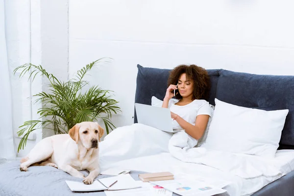 Cão labrador deitado na cama enquanto jovem mulher trabalhando com laptop e falando por telefone em casa — Fotografia de Stock