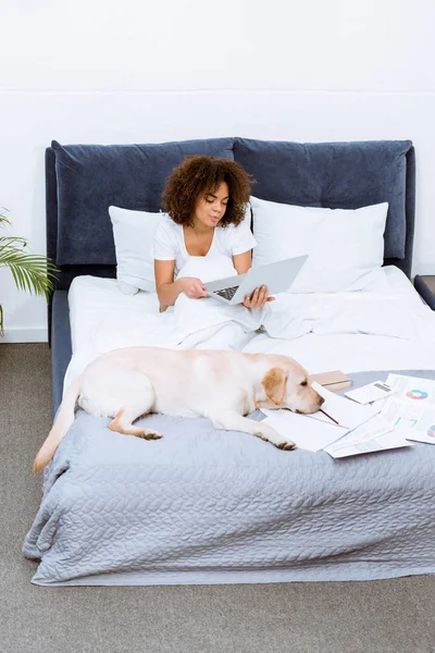 Mulher afro-americana trabalhando com laptop na cama com seu cão — Fotografia de Stock