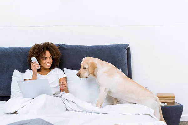 Woman working with laptop and talking by phone in bed with her dog — Stock Photo