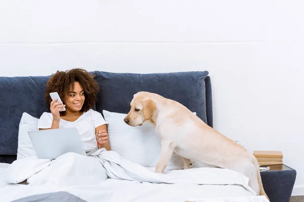 Mujer trabajando con el ordenador portátil y hablando por teléfono en la cama con su perro - foto de stock