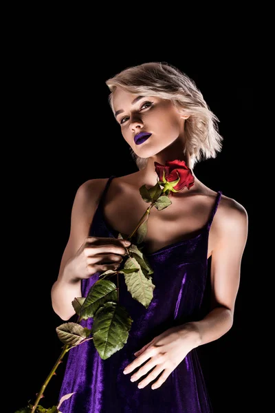 Blonde girl posing in purple dress with red rose, isolated on black — Stock Photo