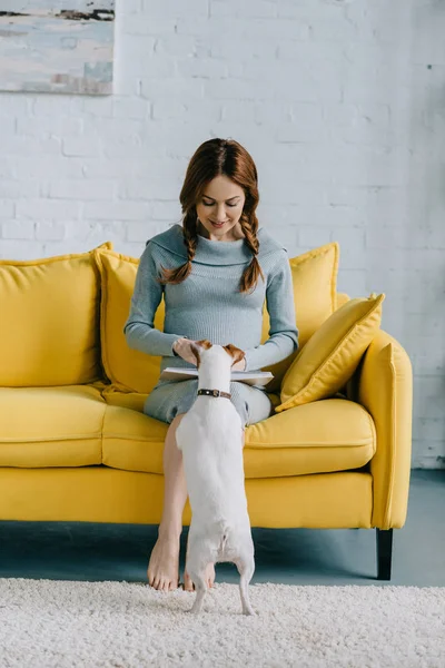 Attractive pregnant woman reading book and palming jack russell terrier in living room — Stock Photo