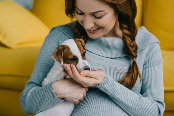 Attractive pregnant woman holding jack russell terrier in living room — Stock Photo