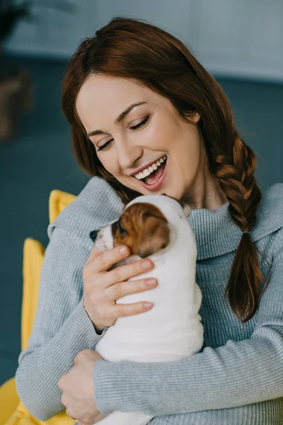 Sonriente atractiva embarazada abrazando jack russell terrier en sala de estar - foto de stock