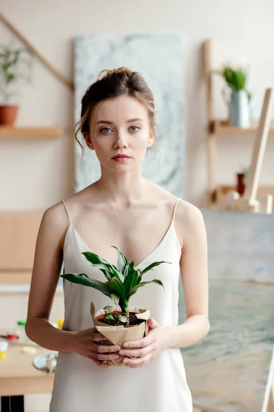 Красивая молодая художница держит зеленое растение в горшке и смотрит в камеру — стоковое фото