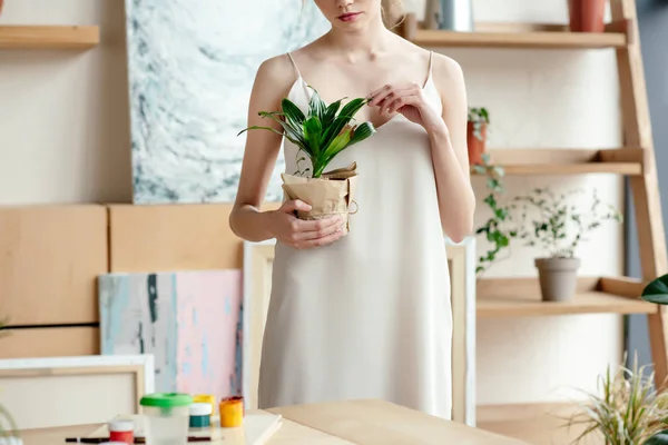 Cropped shot of tender young artist holding potted plant in art studio — Stock Photo
