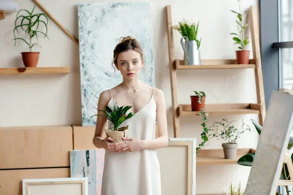 Schöne junge Frau hält Topfpflanze in der Hand und blickt in die Kamera im Kunstatelier — Stockfoto