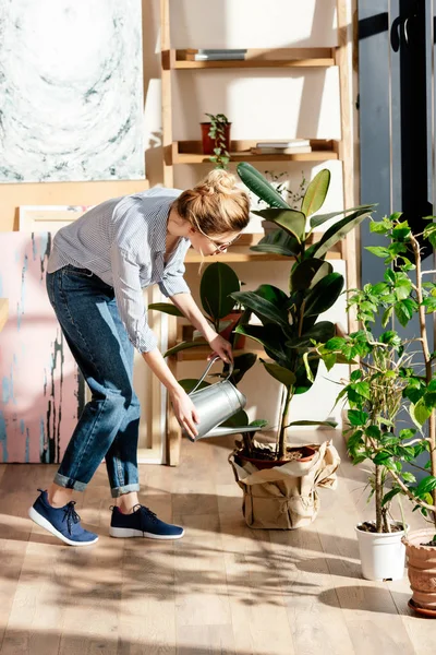 Young stylish woman in eyeglasses watering potted plan — Stock Photo