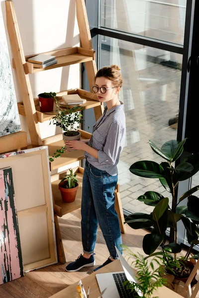 Visão de alto ângulo de mulher elegante em óculos segurando planta envasada — Fotografia de Stock