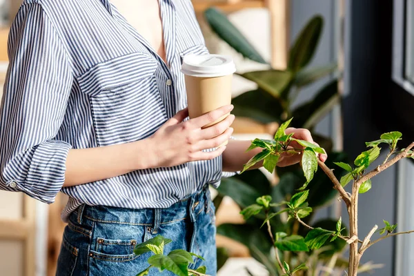 Imagen recortada de mujer joven con café tocando maceta planta - foto de stock