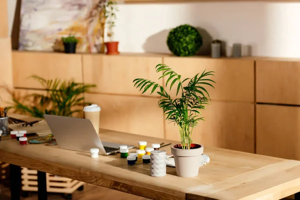 Interior del estudio del artista con suministros de pintura, ordenador portátil y maceta de la planta en la mesa de madera — Stock Photo