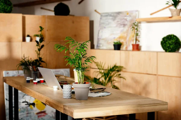 Интерьер студии художника с принадлежностями для живописи, ноутбуками и растениями в горшках на деревянном столе — стоковое фото