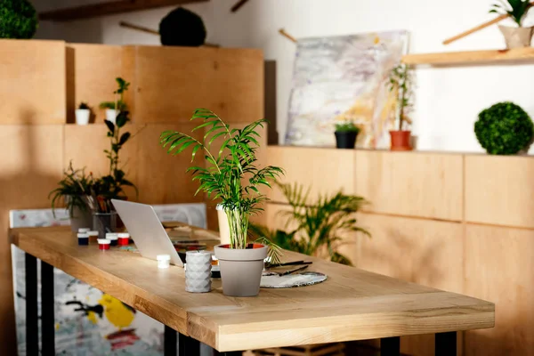 Interior del estudio del artista con suministros de pintura, ordenador portátil y plantas en maceta en la mesa de madera - foto de stock