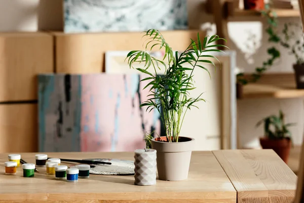 Closeup shot of potted plant, candle, palette and paints on table in artist studio — Stock Photo