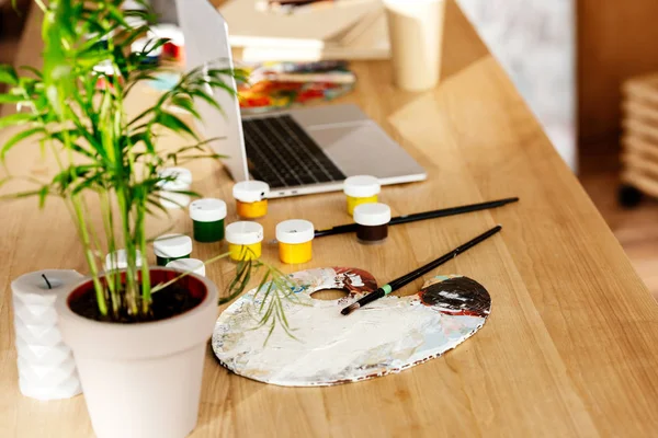 Potted plant, paintbrushes, palette, paintbrushes and laptop on table in studio — Stock Photo