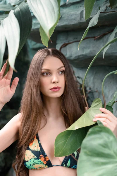 Hermosa chica morena posando en jardín tropical - foto de stock