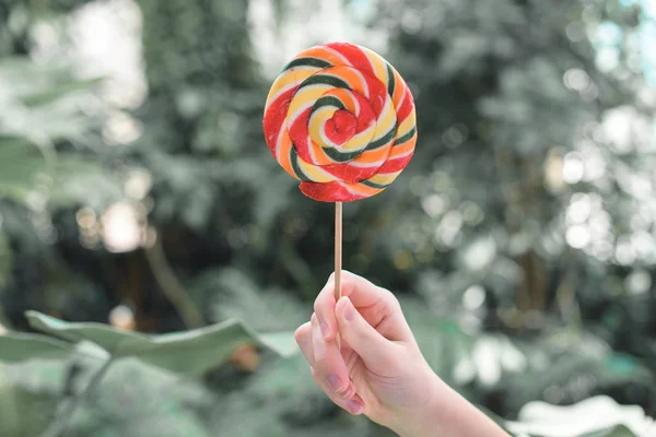 Cropped view of female hand holding lollipop — Stock Photo