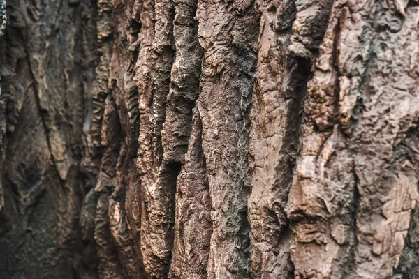 Full frame shot of beautiful rocky texture for background — Stock Photo