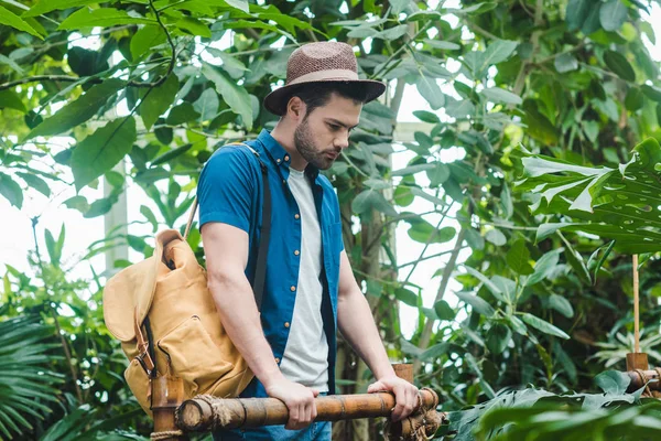 Hombre joven reflexivo en ropa elegante con mochila en el parque con muchas plantas tropicales - foto de stock