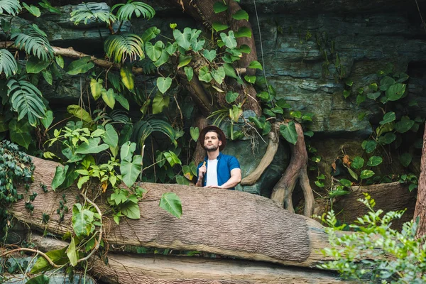 Vista inferior de joven atractivo en ropa elegante y sombrero de paja senderismo en la selva tropical - foto de stock