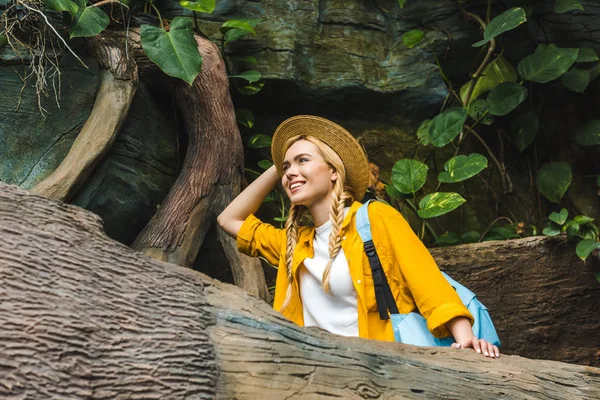 Вид снизу на улыбающуюся молодую женщину в соломенной шляпе идущую по лесу — стоковое фото