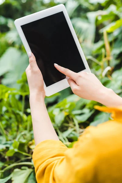 Обрезанный снимок женщины с помощью цифрового планшета на открытом воздухе — стоковое фото