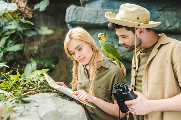 Atractiva pareja joven en trajes de safari con loro tratando de navegar en la selva - foto de stock