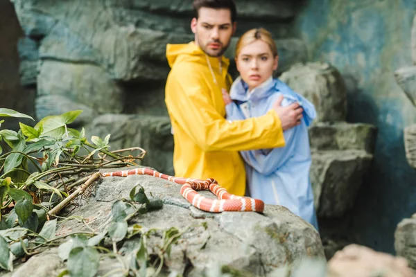 Jovem casal assustado em capas de chuva aterrorizado de cobra na rocha — Fotografia de Stock