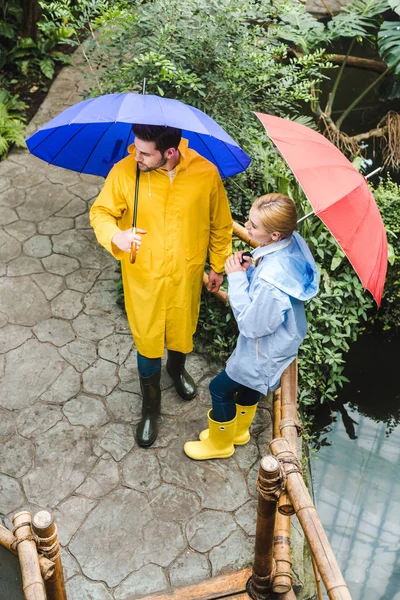 Vista de ángulo alto de pareja joven en impermeables con sombrillas pasar tiempo en el parque con plantas exóticas - foto de stock