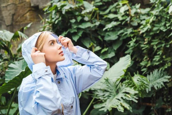 Hermosa mujer joven encapuchada con abrigo azul en la selva mirando hacia arriba - foto de stock