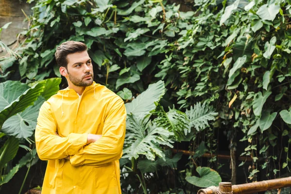 Handsome young man in yellow raincoat in jungle looking at trees — Stock Photo