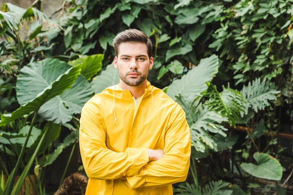 Jovem bonito em capa de chuva amarela na selva olhando para a câmera — Fotografia de Stock